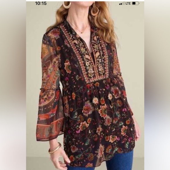 Soft Surroundings Tops - Soft surroundings Asteria sheer tunic top embroidered beaded boho floral 1X